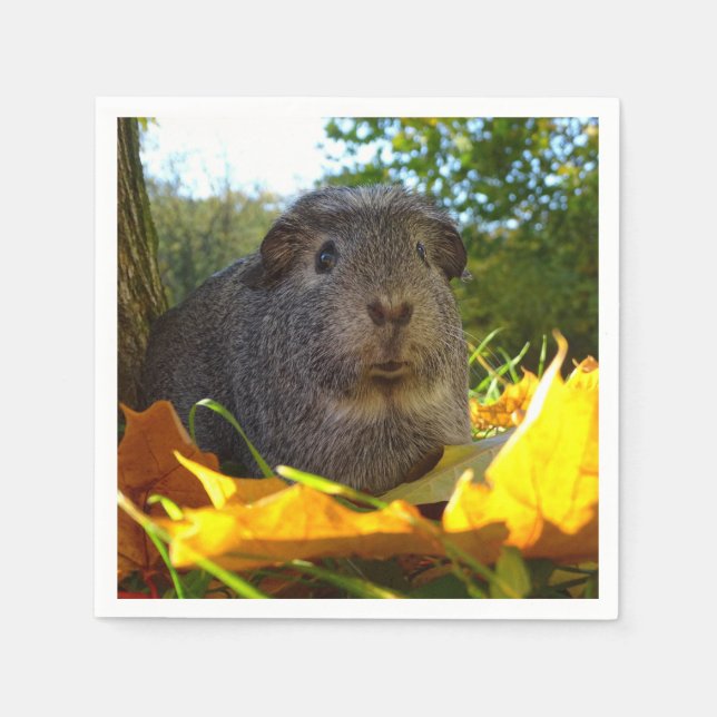 Serviette En Papier Cute Guinea Pig in Nature (Devant)