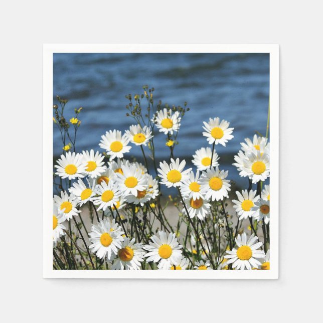 Serviette En Papier Daisy-Daisy (Devant)