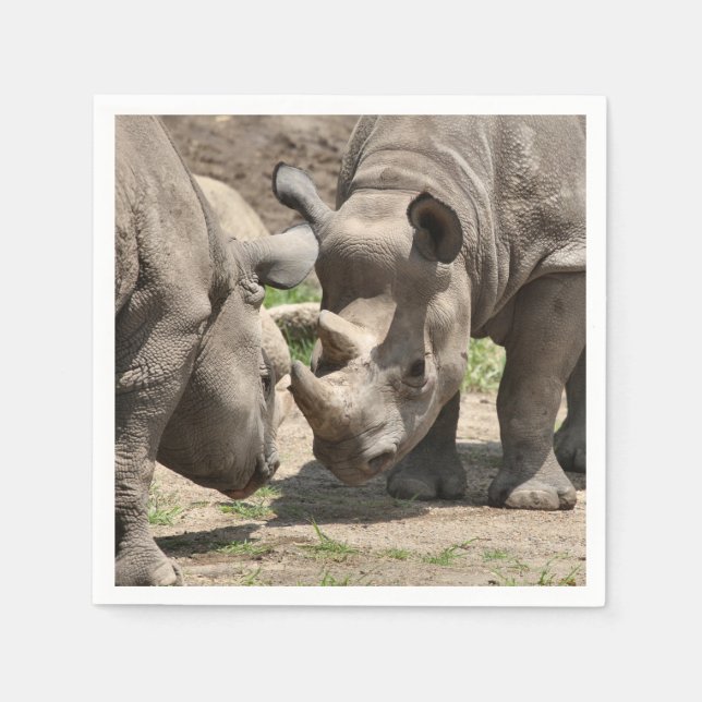 Serviette En Papier Duo rhinamique (Devant)