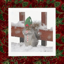 Écureuil Jaunty Elf avec serviettes de Sucre de ca