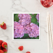Élégante et rustique Hortensia Hydrangea macrophyl