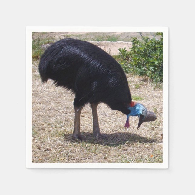 Serviette En Papier Éliminateur de bogues d'oiseaux de Cassowary, (Devant)