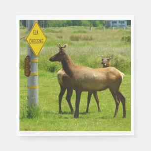 Serviette En Papier Elk Crossing California Wildlife Photography