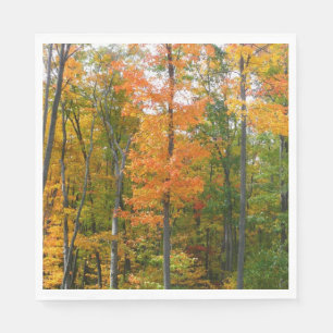 Serviette En Papier Érables en automne Photographie de la nature