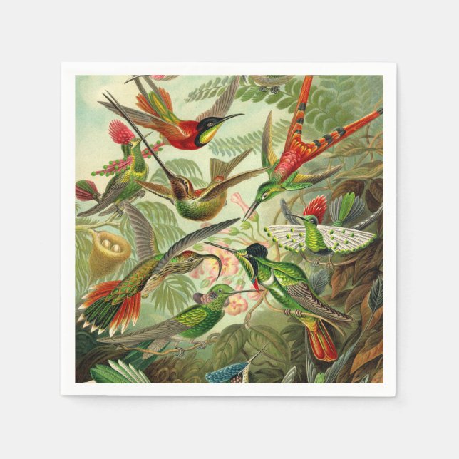 Serviette En Papier Ernst Haeckel Trochilidae (Devant)