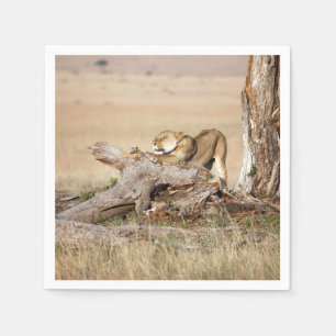 Serviette En Papier Étendue de la lionne