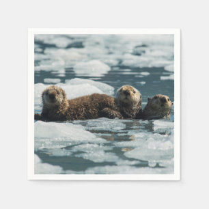 Serviette En Papier Famille de loutre de mer