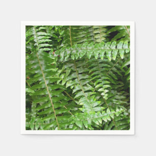 Serviette En Papier Fermer Fronds I Green Nature
