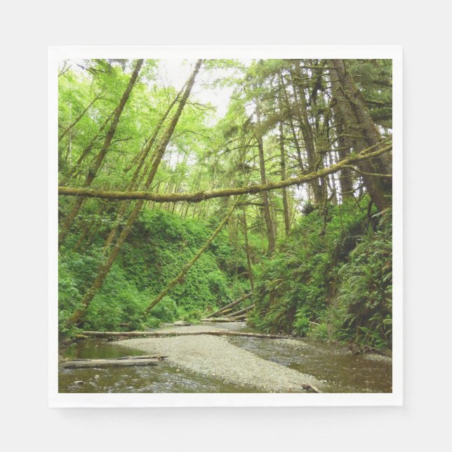 Serviette En Papier Fern Canyon I au Redwood National Park (Devant)