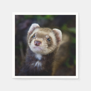 Serviette En Papier Ferret