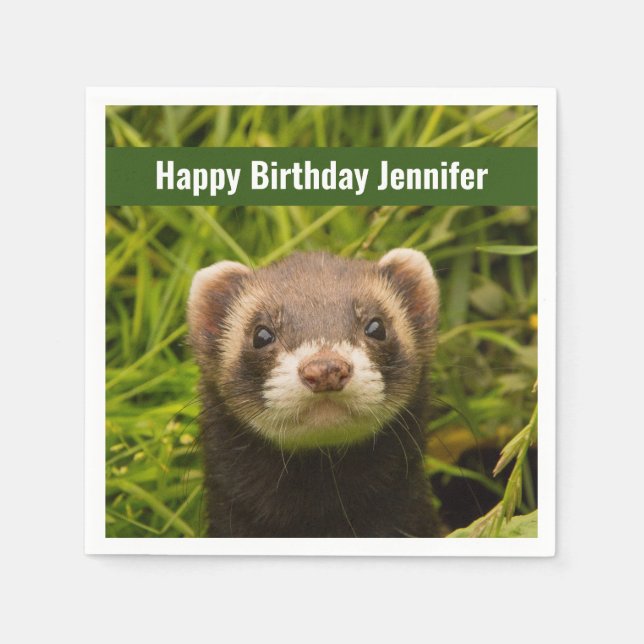 Serviette En Papier Ferret Brown dans l'herbe Joyeux anniversaire (Devant)