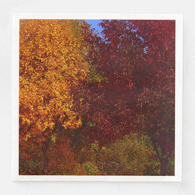 Serviette En Papier Feuilles d'automne Jaune et pourpre, ZSSPG (Devant)