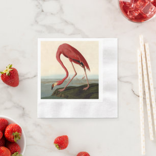 Serviette En Papier Flamant rose américain d'Audubon