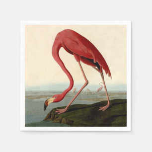 Serviette En Papier Flamant rose américain d'Audubon
