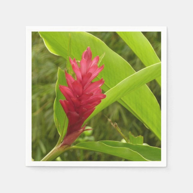 Serviette En Papier Fleur de gingembre rouge (Alpinia) tropicale (Devant)