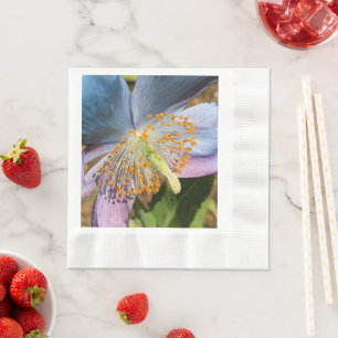 Serviette En Papier Fleur de Pavot Bleu