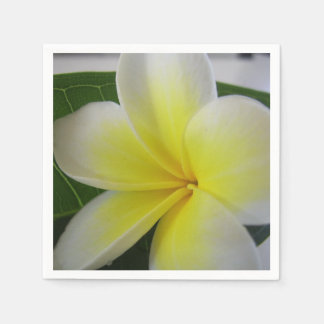 Serviette En Papier Fleur Frangipani Blanc Et Jaune