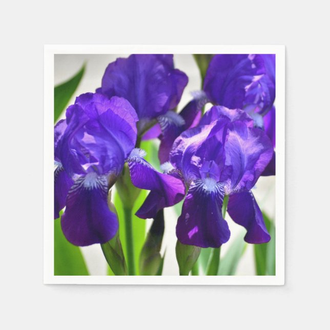 Serviette En Papier Fleur Iris Iris Violet (Devant)