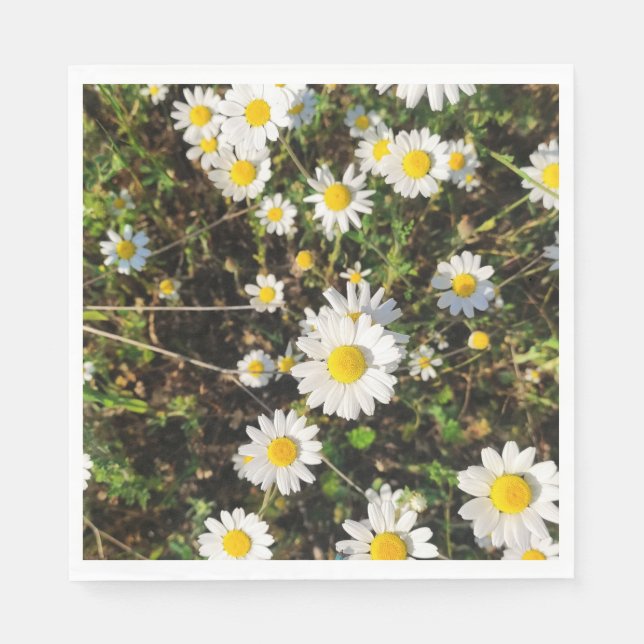 Serviette En Papier Fleurs Chamomiles (Devant)
