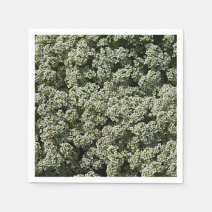 Serviette En Papier Fleurs d'Alyssum doux Floral blanc