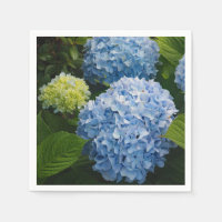 Floral Blue Hydrangea Photo
