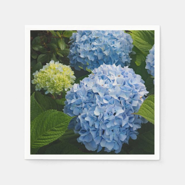 Serviette En Papier Floral Blue Hydrangea Photo (Devant)