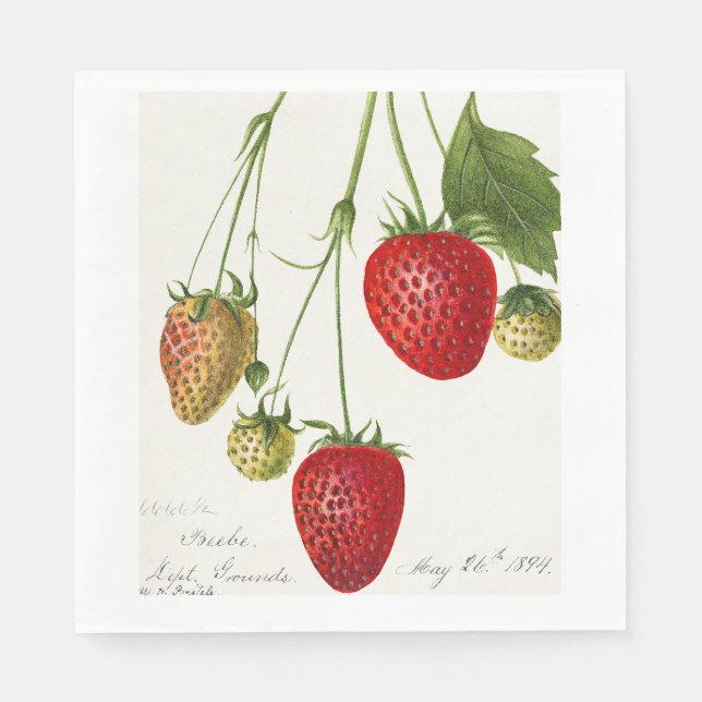 Serviette En Papier Fraise vintage (Devant)