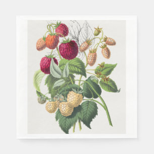 Serviette En Papier Fraise vintage