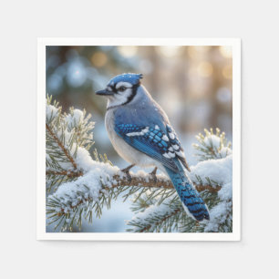 Serviette En Papier Geai bleu perché sur un pin enneigé