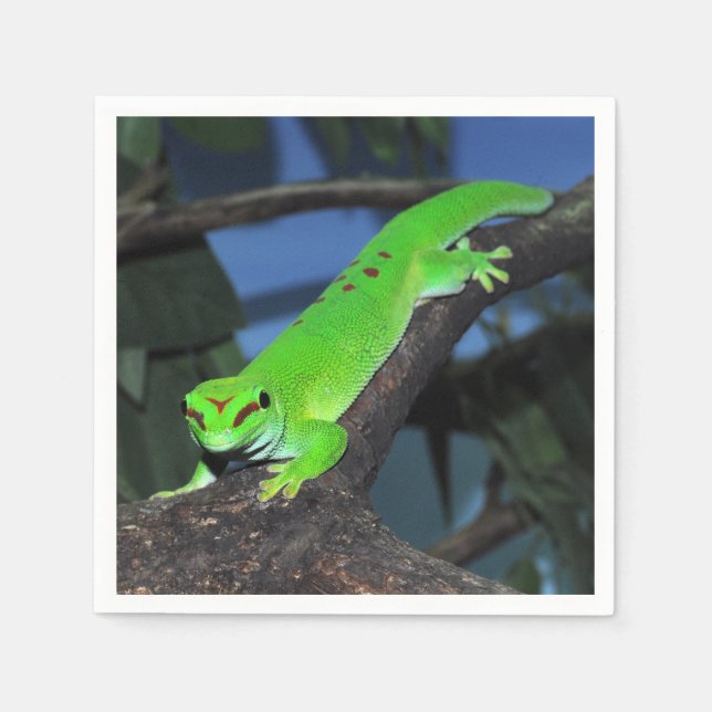 Serviette En Papier Gecko malgache (Devant)