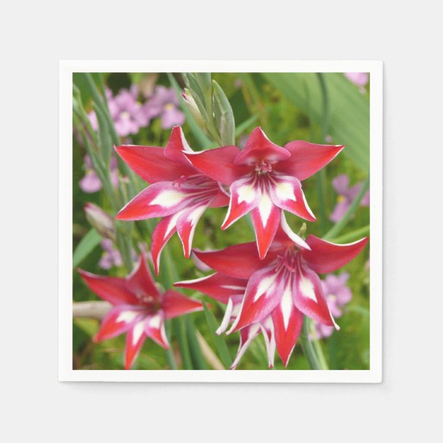 Serviette En Papier Gladiolas rouge et blanc Botanique d'été (Devant)
