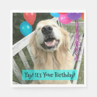 Golden Retriever Chien avec Ballons Anniversaire