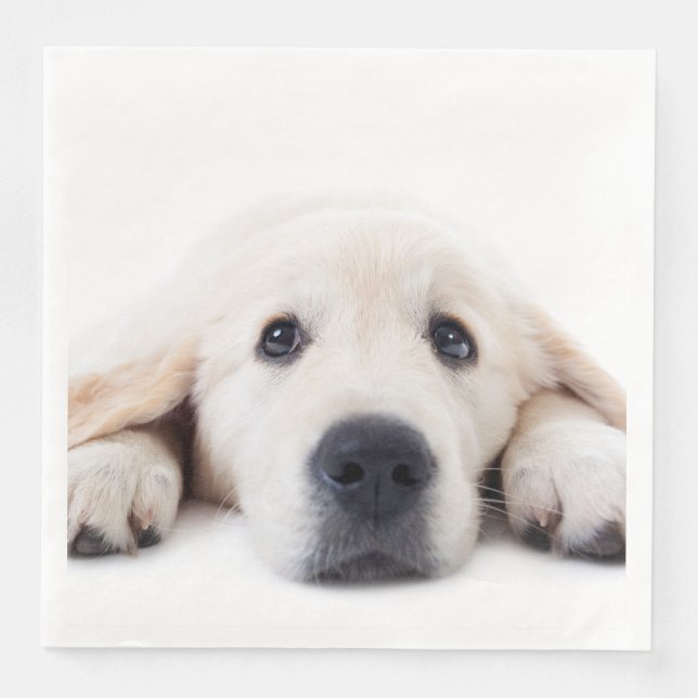 Serviette En Papier Golden retriever cute puppy lying (Devant)