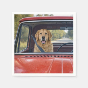Serviette En Papier Golden Retriever portant une ceinture de sécurité