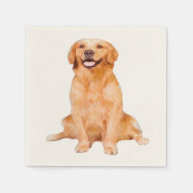 Golden Retriever Sitting