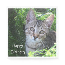 Gris Tabby Chat Anniversaire