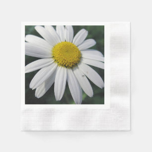 Serviette En Papier Gros Blancs