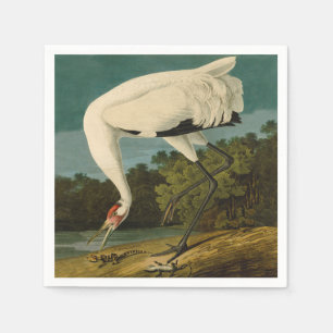 Serviette En Papier Grue blanche Audubon Peinture d'oiseaux