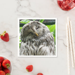 SERVIETTE EN PAPIER HIBOU