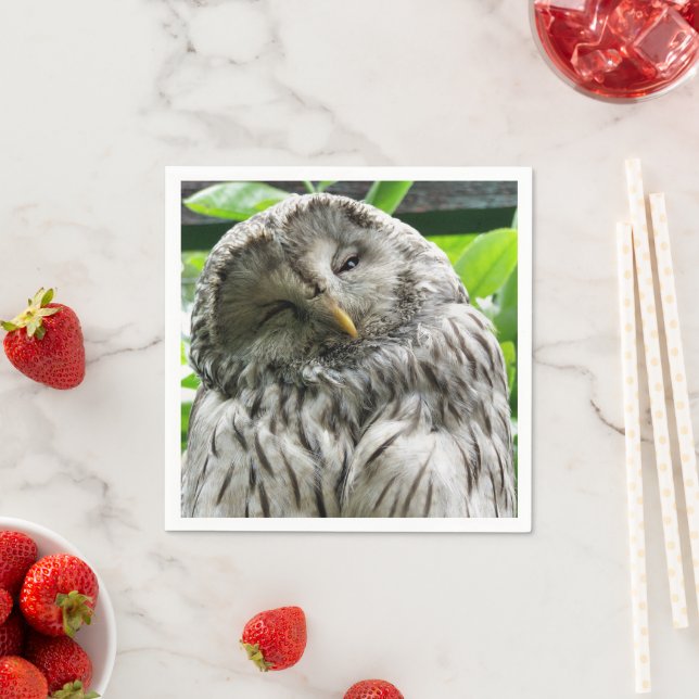 SERVIETTE EN PAPIER HIBOU (En situation)