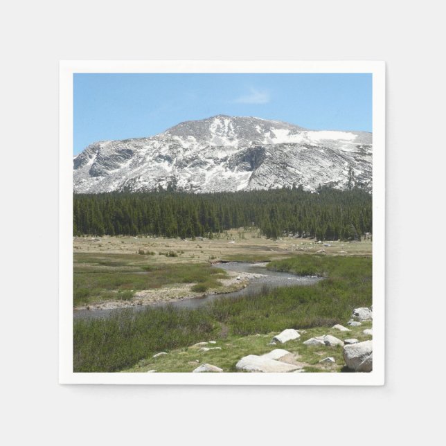 Serviette En Papier High Country Mountain Stream I (Devant)