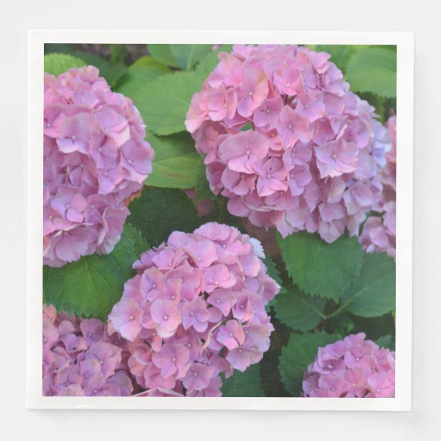 Serviette En Papier Hortensia hydrangea Party rose (Devant)