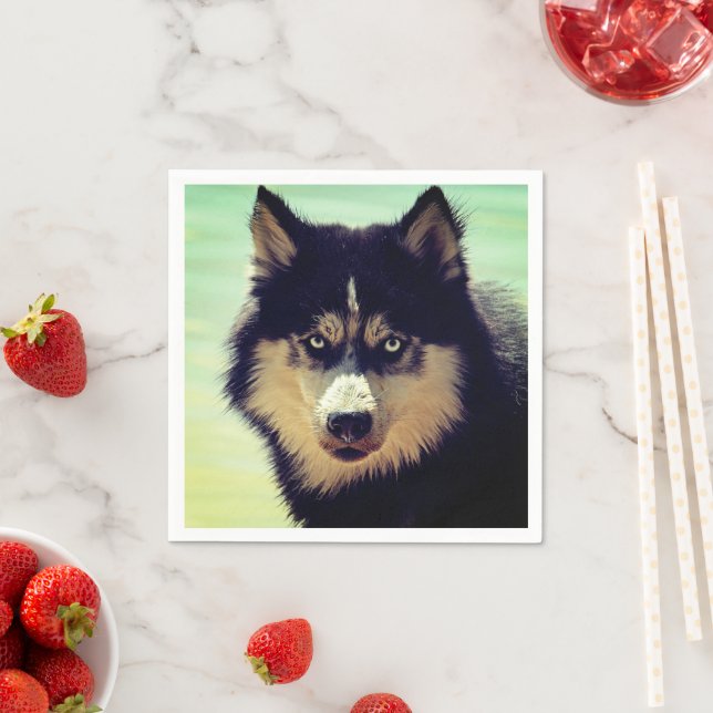Serviette En Papier Husky (En situation)
