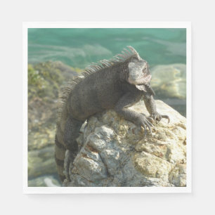 Serviette En Papier Iguana sur les rochers à St. Thomas