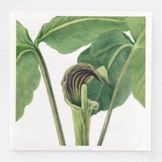 SERVIETTE EN PAPIER ILLUSTRATION BOTANIQUE RÉTRO : JACK DANS LA PULPTE