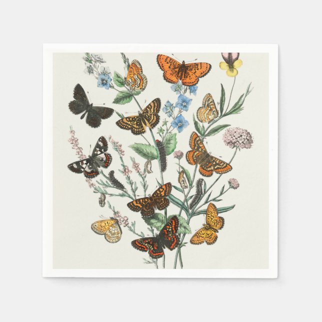 Serviette En Papier Illustration des papillons sur les fleurs (Devant)