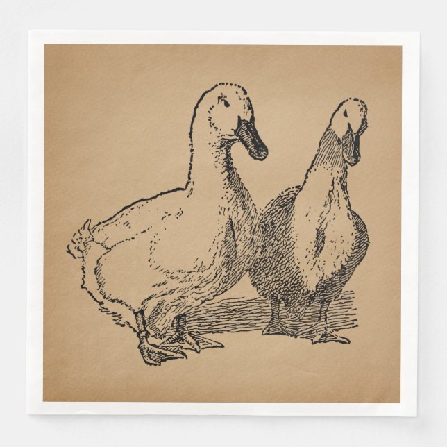 Serviette En Papier Illustration vintage Duck Art Two Ducks (Devant)