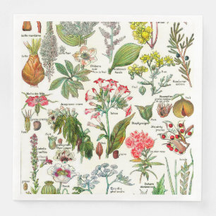 Serviette En Papier Illustrations botaniques