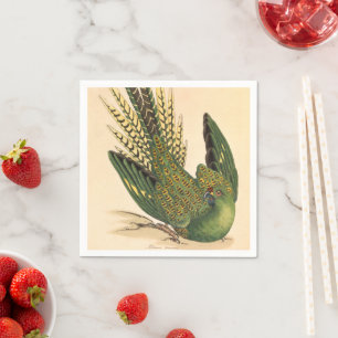 Serviette En Papier James Sowerby Parrot terrestre, Psittacus terrestr