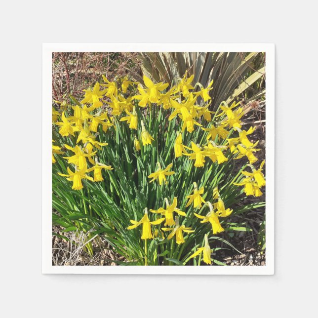 Serviette En Papier Jaune Daffodique de printemps Papier Napkin (Devant)